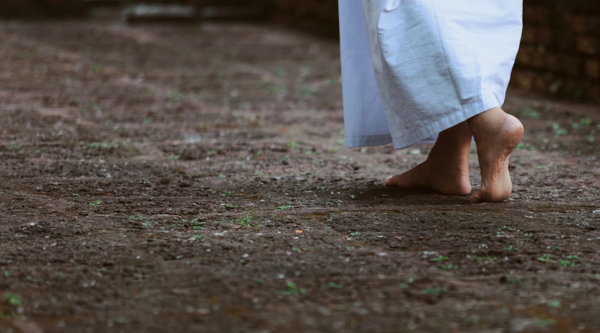 Camminata meditativa: 10 benefici della meditazione Kinhin e come praticarla